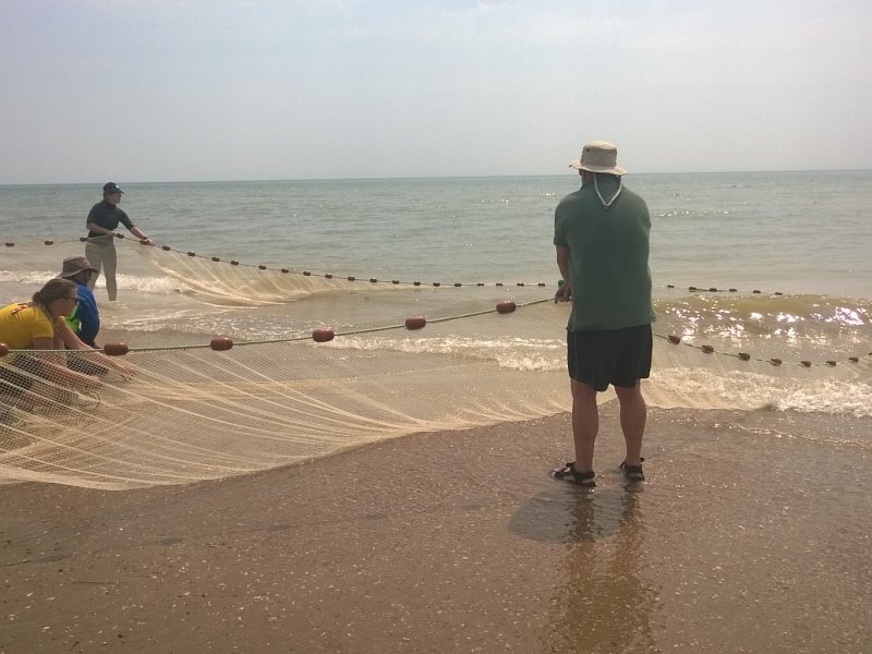 Fish surveys at Rye Harbour